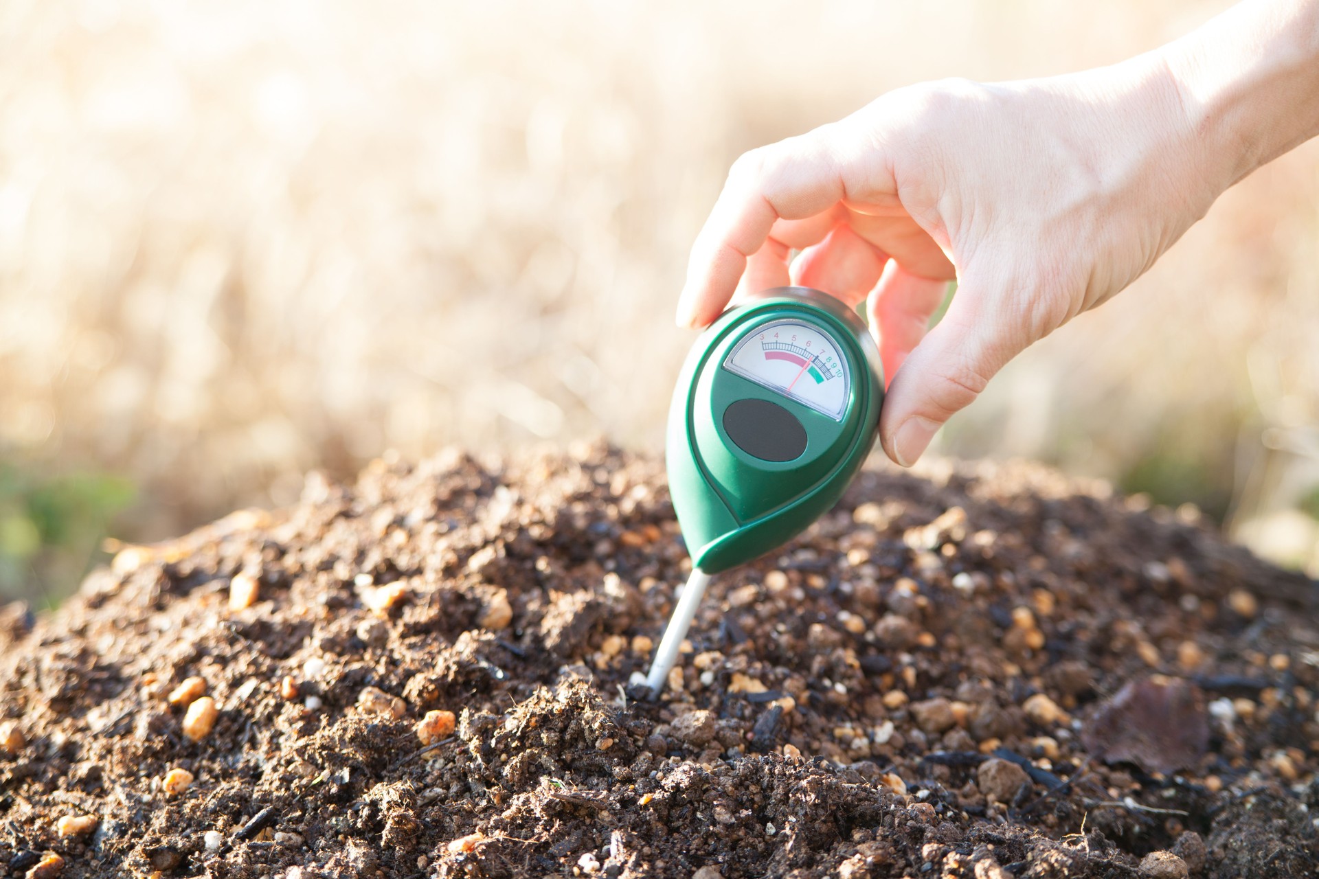 hand measures the soil acidity with a soil pH meter